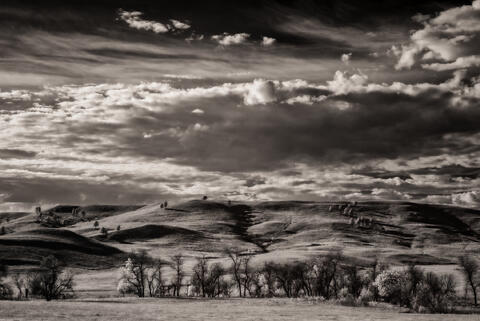Prairies