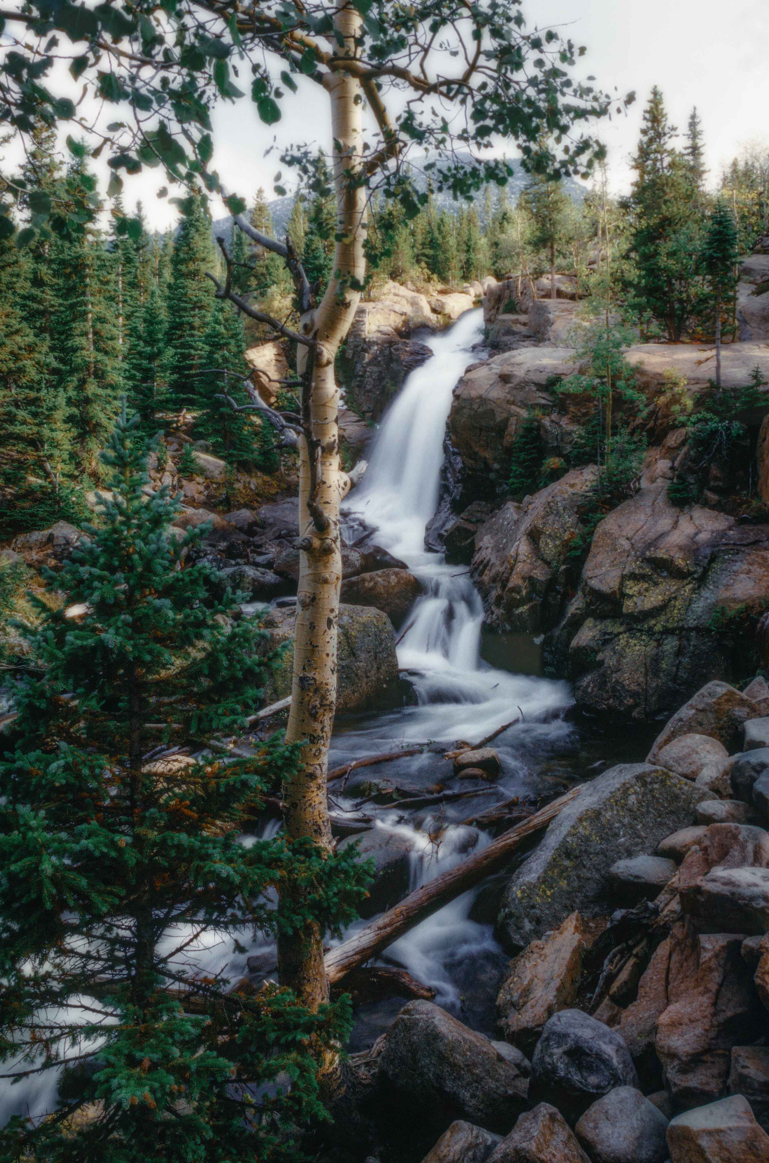 Alberta Falls Alberta Falls photographed in early 19990's on a cloudy afternoon. Long exposure allowed the water to appear almost foamy....